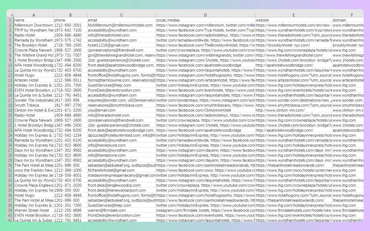 Google Maps Data Scraper Tool
